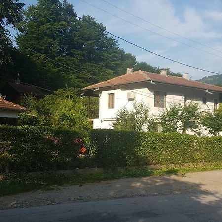 Вила Керенски Ribarica Esterno foto